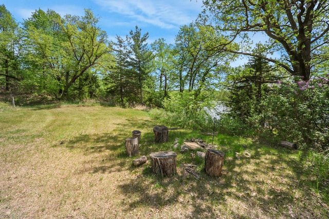28503 Ottawa Dr, Browerville, MN 56438 - view of grassy yard