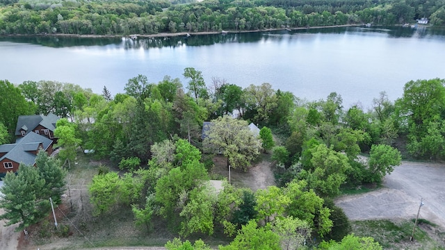 28503 Ottawa Dr, Browerville, MN 56438 - drone / aerial view of a heavily wooded area and a large body of water