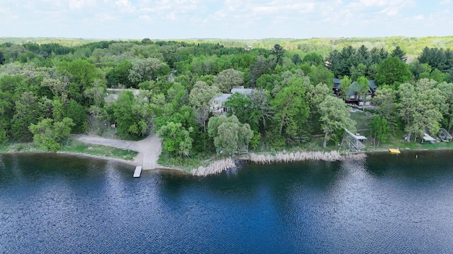 28503 Ottawa Dr, Browerville, MN 56438 - aerial view of property's location with a nearby body of water and a heavily wooded area
