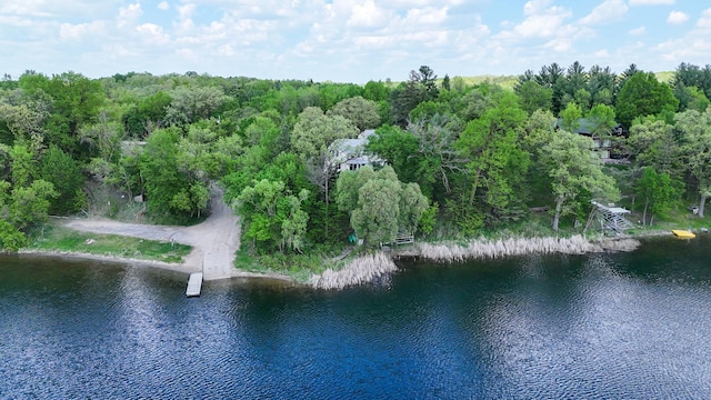 28503 Ottawa Dr, Browerville, MN 56438 - water view with a forest