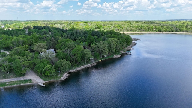 28503 Ottawa Dr, Browerville, MN 56438 - drone / aerial view of a nearby body of water and a forest