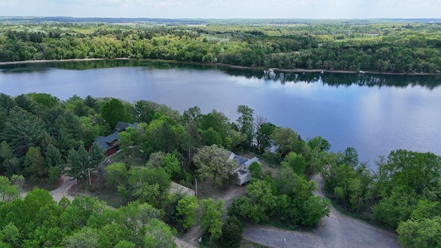 28503 Ottawa Dr, Browerville, MN 56438 - aerial view of a forest and a nearby body of water