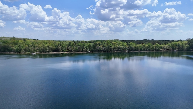 28503 Ottawa Dr, Browerville, MN 56438 - water view with a heavily wooded area