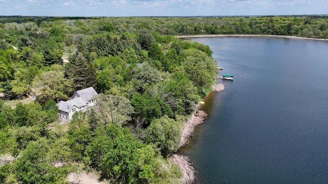 28503 Ottawa Dr, Browerville, MN 56438 - bird's eye view of a heavily wooded area and a nearby body of water