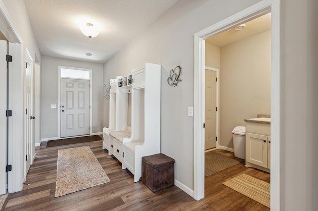 mudroom with baseboards and dark wood-style flooring