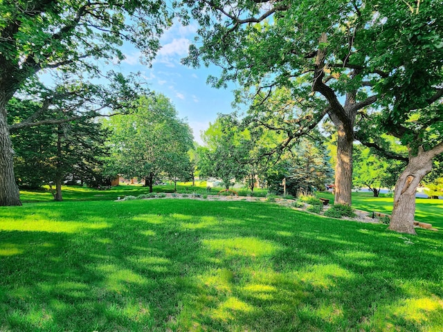 908 Park Ln, Belle Plaine, MN 56011 - view of grassy yard