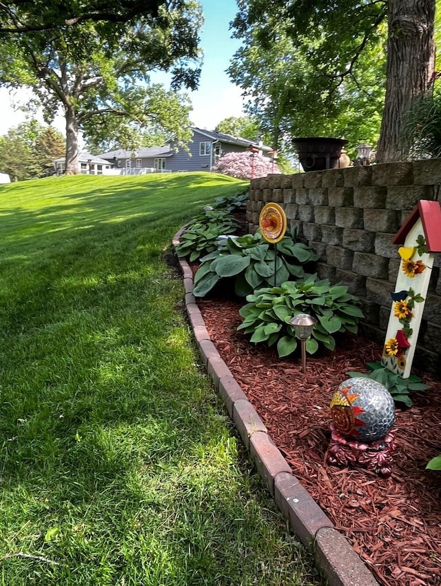 908 Park Ln, Belle Plaine, MN 56011 - view of grassy yard