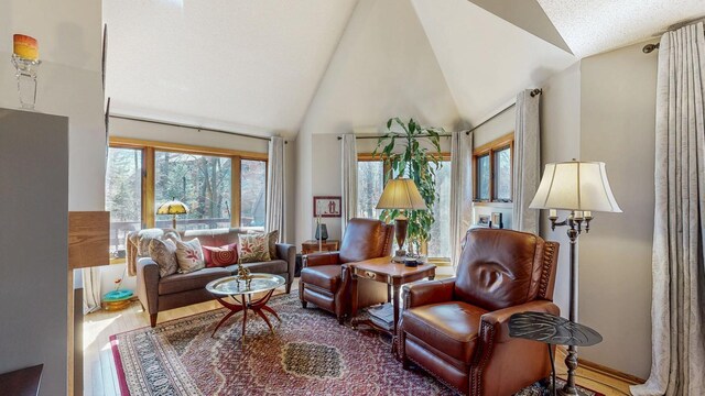 interior space with lofted ceiling and wood finished floors