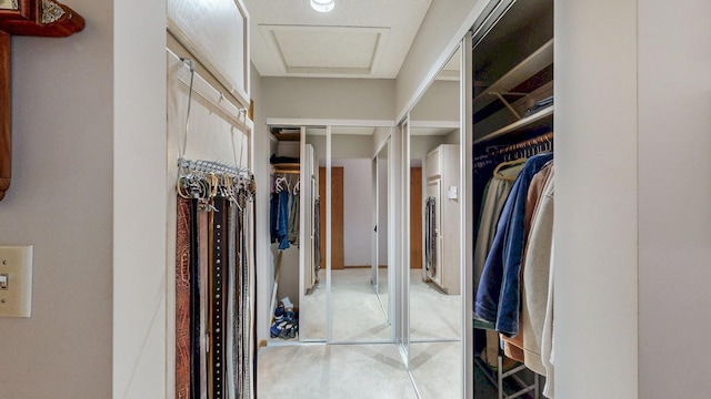 view of spacious closet