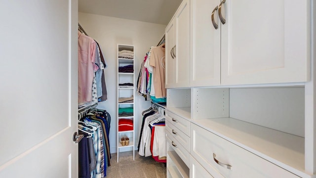 spacious closet with carpet floors