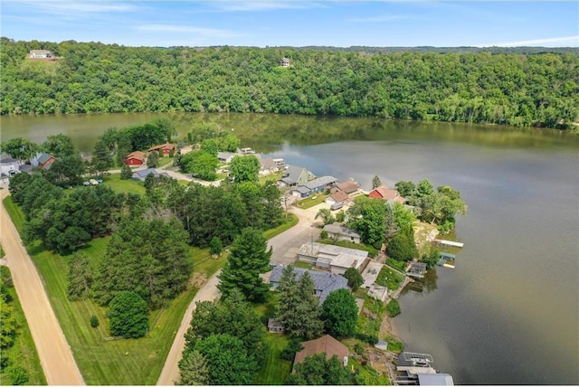 aerial view with a water view and a view of trees