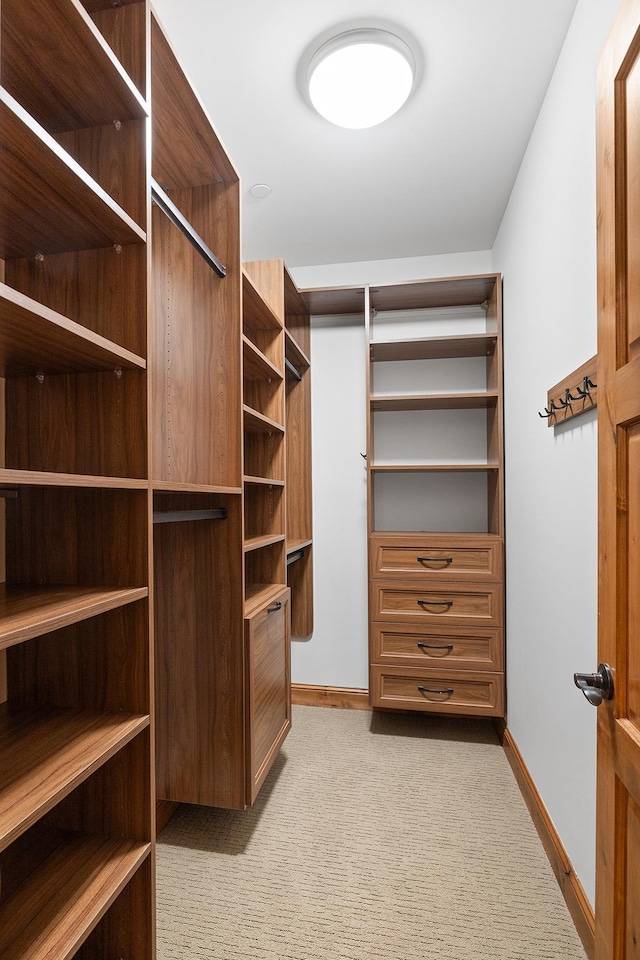 spacious closet with light colored carpet