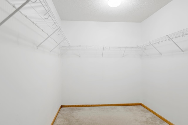 walk in closet with light carpet