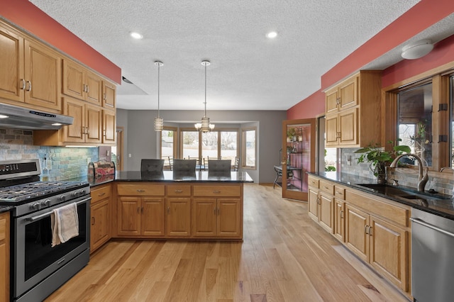 kitchen with a peninsula, a sink, light wood-style floors, under cabinet range hood, and appliances with stainless steel finishes