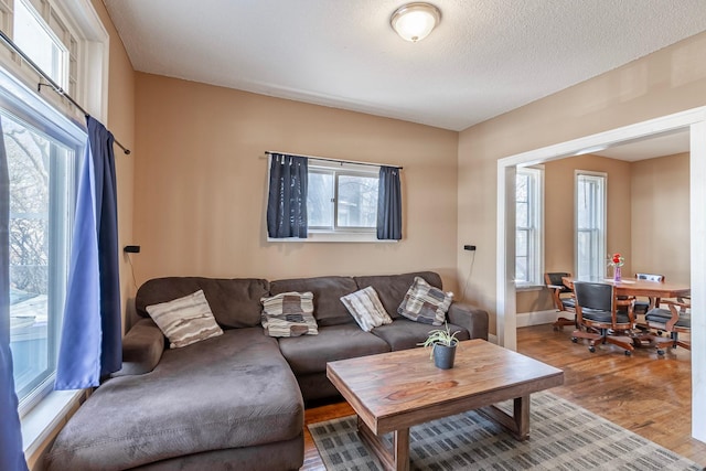 living room featuring a textured ceiling, baseboards, and wood finished floors