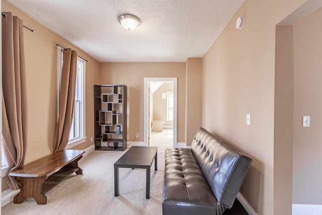 living area featuring carpet flooring, a healthy amount of sunlight, a textured ceiling, and baseboards