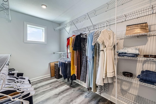 spacious closet with wood finished floors