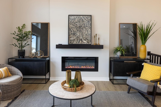 living area with a glass covered fireplace, baseboards, and wood finished floors