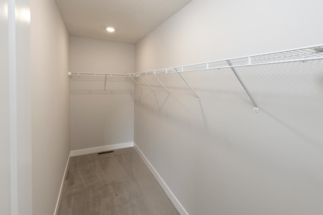 walk in closet featuring visible vents and carpet flooring