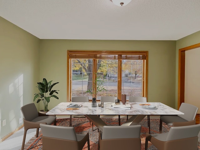 dining room with baseboards and a textured ceiling