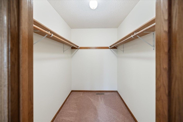 walk in closet featuring carpet