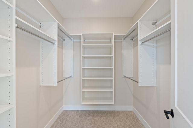 spacious closet featuring carpet flooring