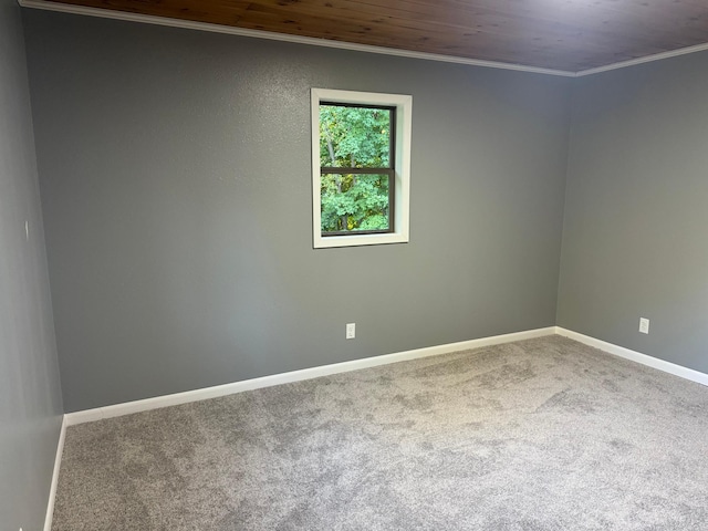 spare room with carpet, crown molding, and baseboards