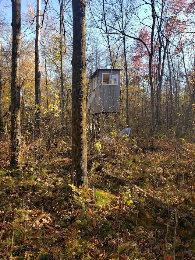 view of yard with an outbuilding and a wooded view