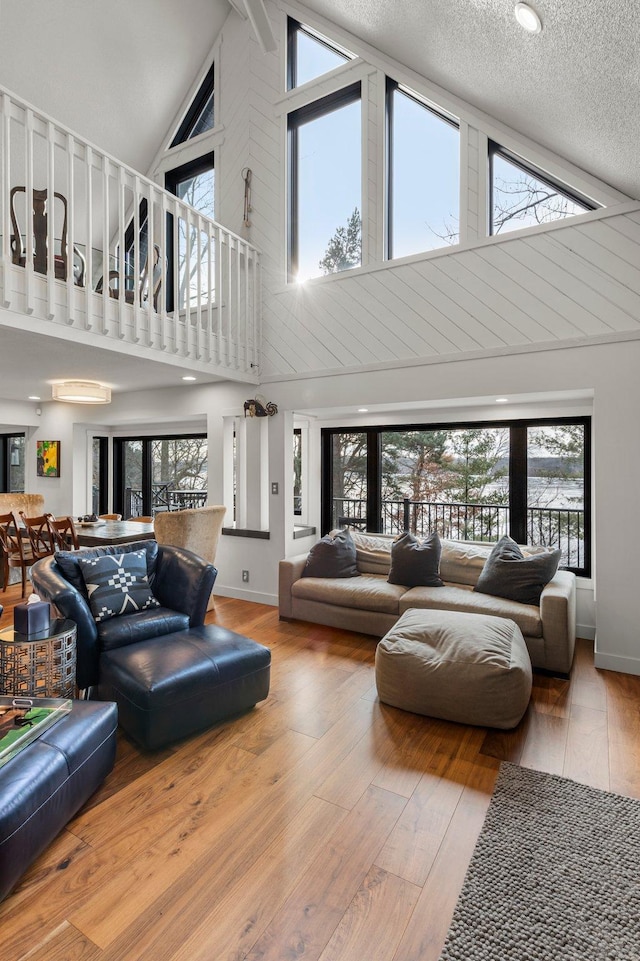 living area with wood-type flooring, vaulted ceiling, and a textured ceiling