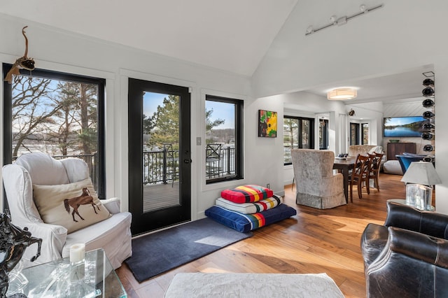 entryway featuring high vaulted ceiling and wood finished floors