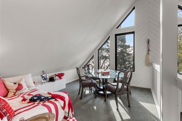 carpeted dining room featuring lofted ceiling and a textured ceiling