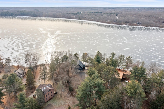 birds eye view of property with a forest view