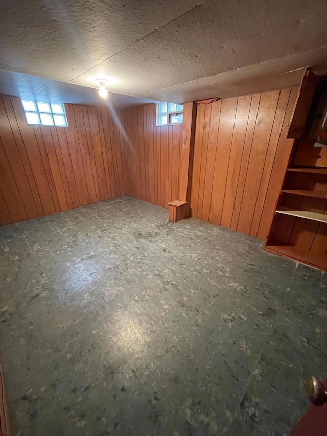 basement with wood walls and plenty of natural light