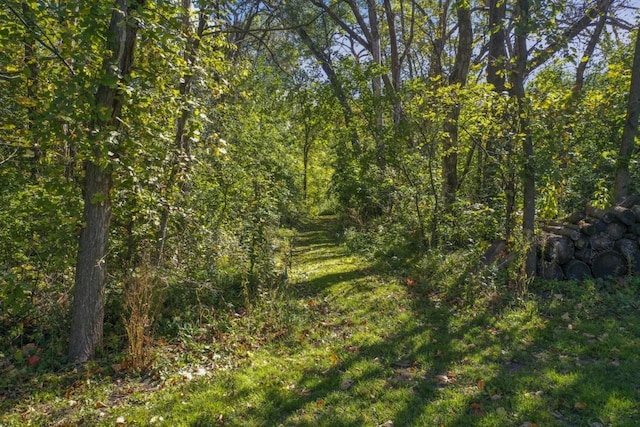 view of local wilderness featuring a wooded view