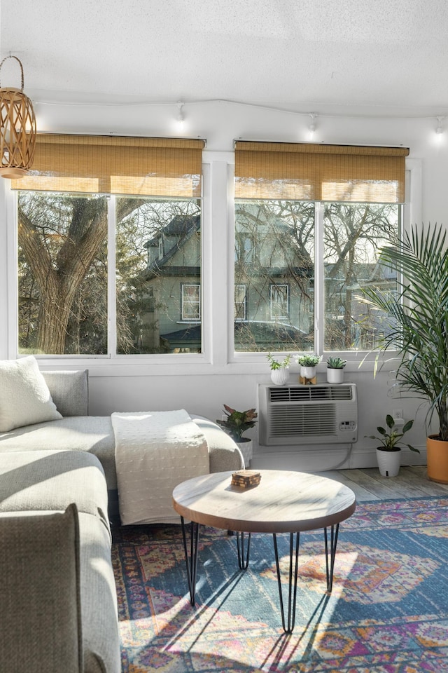 sunroom with a wall unit AC