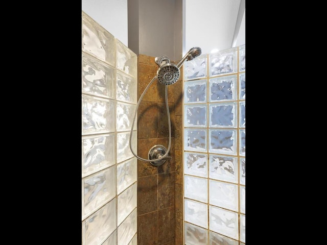 1757 Sandbar Cir, Waconia, MN 55387 - bathroom view of walk in shower