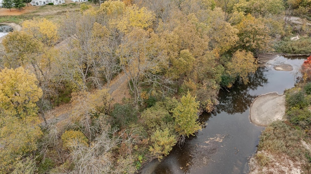1868 Tiffany Cove Ln SW, Rochester, MN 55902 - view of property location featuring a nearby body of water and a forest