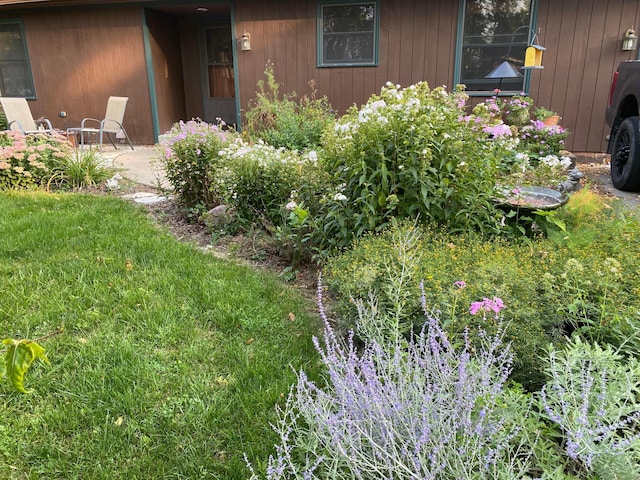 view of yard with a patio