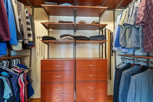 view of walk in closet