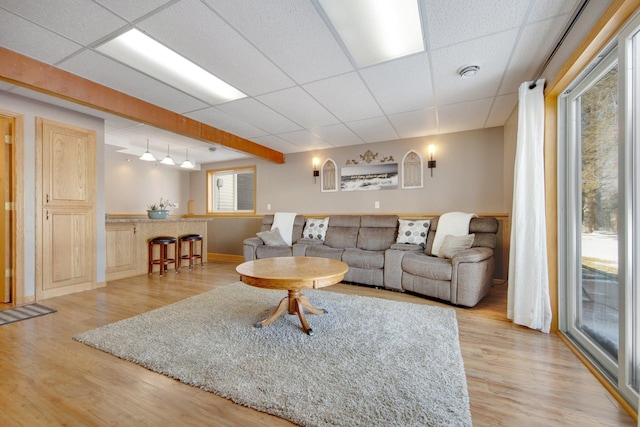 living room featuring a paneled ceiling, light wood-style floors, and plenty of natural light