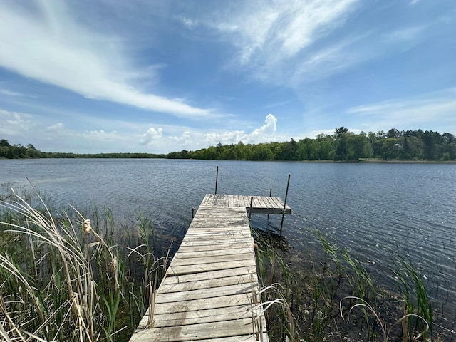 20163 Brush Lake Ln, Park Rapids MN, 56470 land for sale