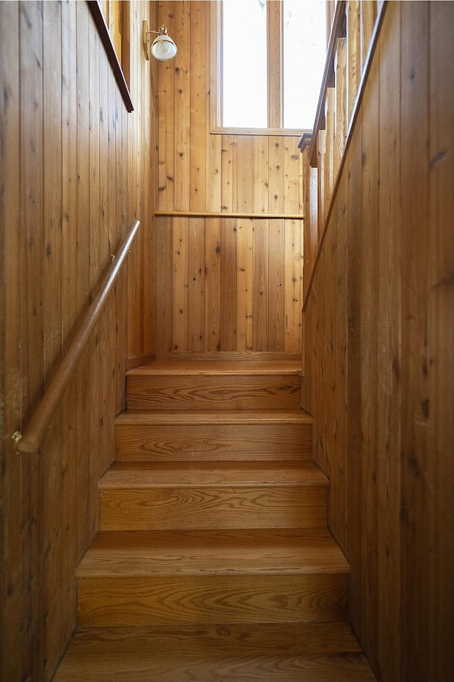 stairway with wooden walls and a sauna