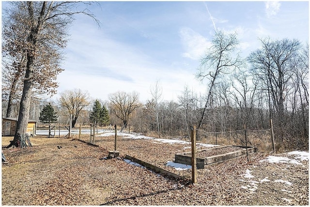 view of yard featuring a garden