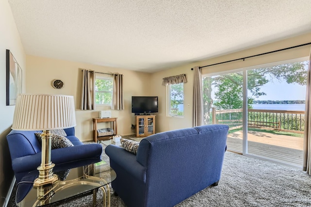 living room featuring a textured ceiling