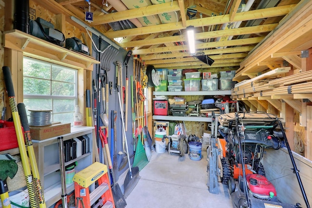 11259 71st Ave N, Maple Grove, MN 55369 - view of storage room