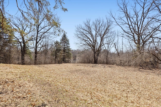 2148 Delaware Ave, Sunfish Lake, MN 55118 - view of tree filled area