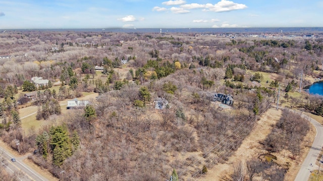 2148 Delaware Ave, Sunfish Lake, MN 55118 - bird's eye view