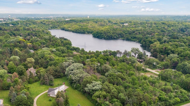 2148 Delaware Ave, Sunfish Lake, MN 55118 - aerial view of a nearby body of water and a forest