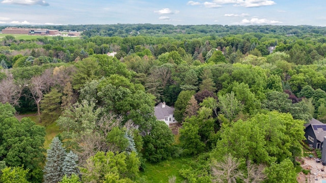 2148 Delaware Ave, Sunfish Lake, MN 55118 - bird's eye view of a forest