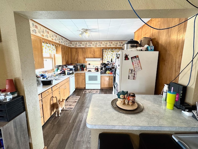 kitchen with white appliances, under cabinet range hood, light countertops, and dark wood-type flooring